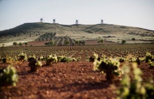 Rutas del Vino de La Mancha en plena vendimia