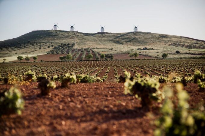 Rutas del Vino de La Mancha en plena vendimia