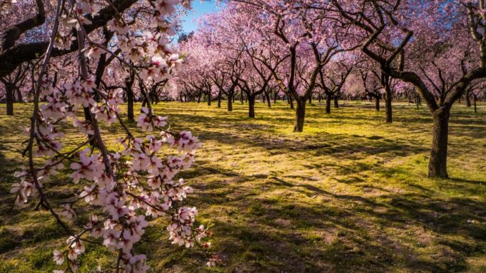 La Comunidad de Madrid declara BIC la Quinta de los Molinos