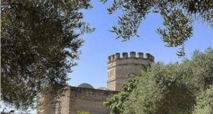 Jerez de la Frontera elegida Capital Española de la Gastronomía 2026