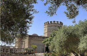 Jerez de la Frontera elegida Capital Española de la Gastronomía 2026