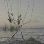 Patricia Belli, Premio Velázquez de Artes Plásticas 2025