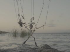 Patricia Belli, Premio Velázquez de Artes Plásticas 2025