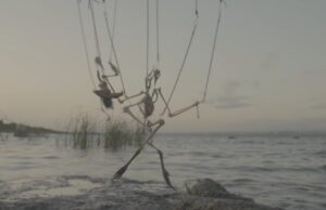 Patricia Belli, Premio Velázquez de Artes Plásticas 2025