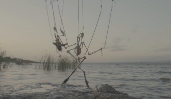 Patricia Belli, Premio Velázquez de Artes Plásticas 2025