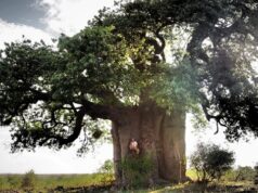 Cierre del ciclo de música experimental del Museo Reina Sofía 2025