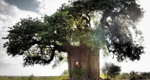 Cierre del ciclo de música experimental del Museo Reina Sofía 2025