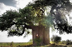 Cierre del ciclo de música experimental del Museo Reina Sofía 2025