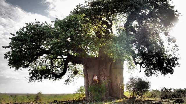 Cierre del ciclo de música experimental del Museo Reina Sofía 2025