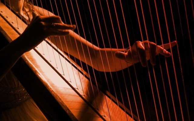 girl is playing harp in darknes