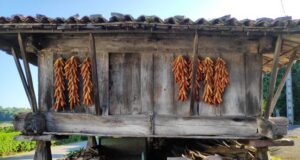 Los hórreos, Manifestación Representativa del Patrimonio Cultural Inmaterial