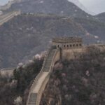 Great wall of China in spring season with cherry blossoms.