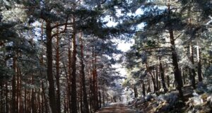 Lozoya del Valle un lugar donde la naturaleza marca el ritmo
