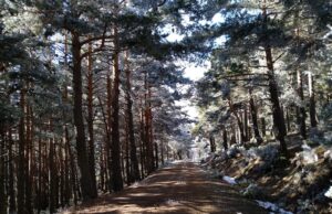 Lozoya del Valle un lugar donde la naturaleza marca el ritmo