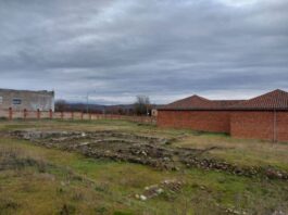 Campaña arqueológica en la villa romana de Navatejera (León)