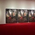 exposicion