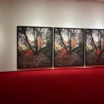 exposicion