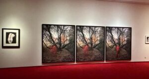 El Centro Nacional de Fotografía presenta su colección en ‘Constelaciones fotográficas»