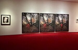 El Centro Nacional de Fotografía presenta su colección en ‘Constelaciones fotográficas»