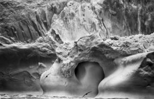 El agua como origen de vida. Sebastião Salgado en Fundación Canal